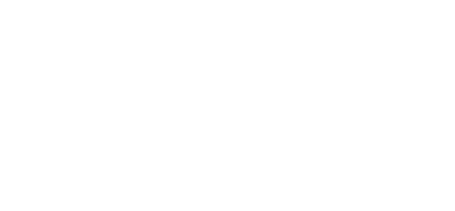 ACN logo