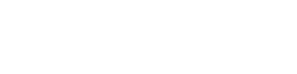 itfs foundation singapore white logo